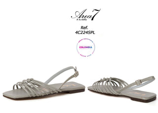 Calzado Modelo Plana  4C224SPL - Plata